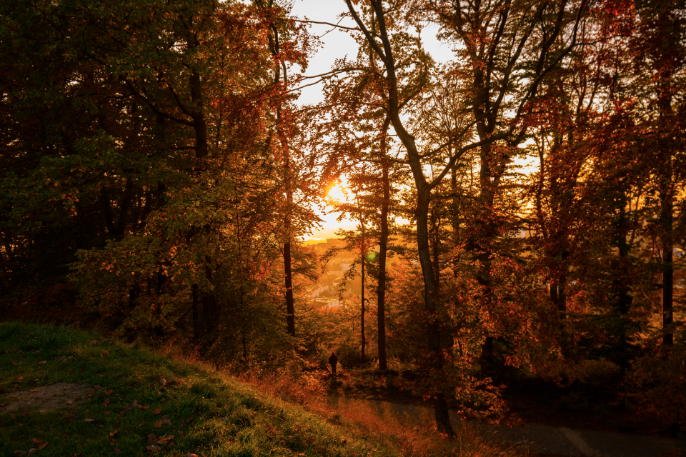 Golden hour