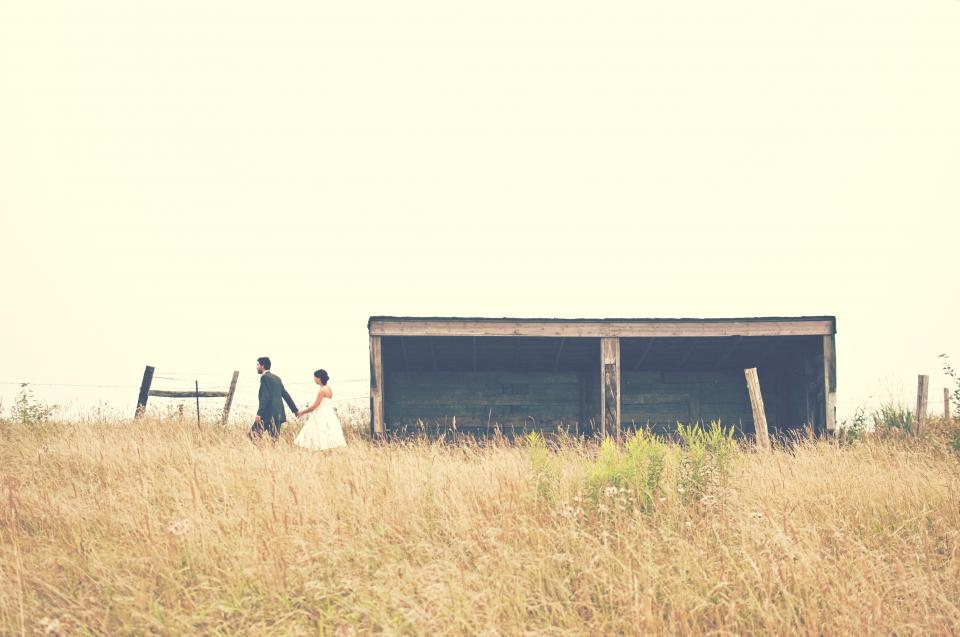 The field behind the barn